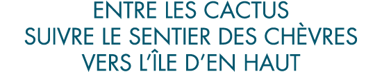 entre les cactus suivre le sentier des ch vres vers l  le d en haut