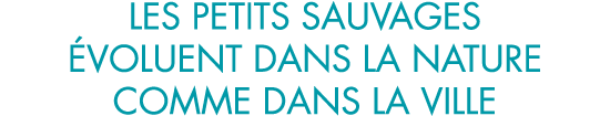 les petits sauvages  voluent dans la nature comme dans la ville