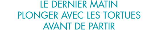 le dernier matin plonger avec les tortues avant de partir