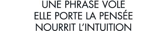 une phrase vole elle porte la pens e nourrit l intuition