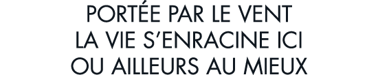 port e par le vent la vie s enracine ici ou ailleurs au mieux