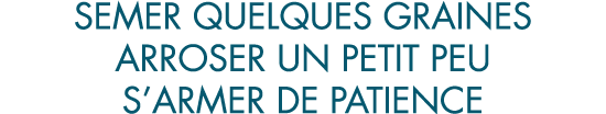 semer quelques graines arroser un petit peu s armer de patience
