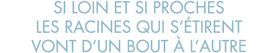 si loin et si proches les racines qui s  tirent vont d un bout   l autre