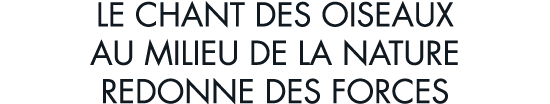 le chant des oiseaux au milieu de la nature redonne des forces