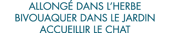 allong  dans l herbe bivouaquer dans le jardin accueillir le chat
