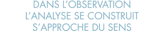 dans l observation l analyse se construit s approche du sens