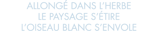 allong  dans l herbe le paysage s  tire l oiseau blanc s envole