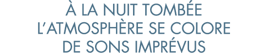   la nuit tomb e l atmosph re se colore de sons impr vus