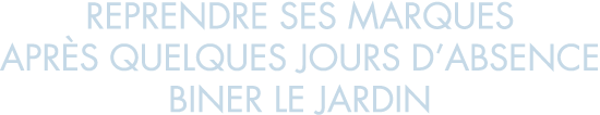 reprendre ses marques apr s quelques jours d absence biner le jardin