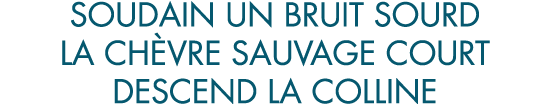 soudain un bruit sourd la ch vre sauvage court descend la colline