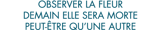 observer la fleur demain elle sera morte peut- tre qu une autre