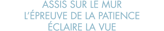 assis sur le mur l  preuve de la patience  claire la vue