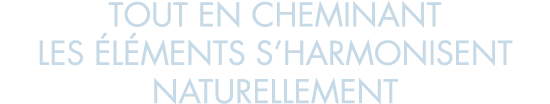 tout en cheminant les  l ments s harmonisent naturellement