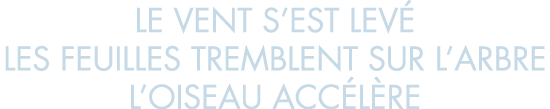 le vent s est lev  les feuilles tremblent sur l arbre l oiseau acc l re
