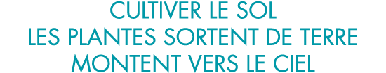 cultiver le sol les plantes sortent de terre montent vers le ciel