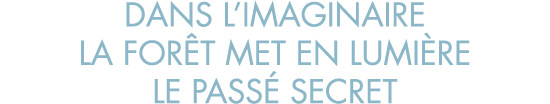 dans l imaginaire la for t met en lumi re le pass  secret