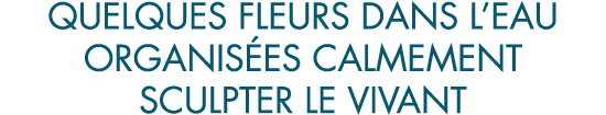 quelques fleurs dans l eau organis es calmement sculpter le vivant