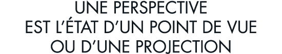 une perspective est l  tat d un point de vue ou d une projection