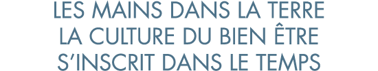 les mains dans la terre la culture du bien  tre s inscrit dans le temps