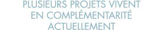 plusieurs projets vivent en compl mentarit  actuellement