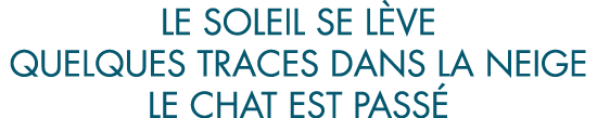 le soleil se l ve quelques traces dans la neige le chat est pass 