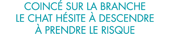 coinc  sur la branche le chat h site   descendre   prendre le risque