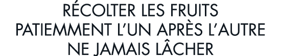r colter les fruits patiemment l un apr s l autre ne jamais l cher 