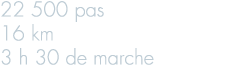 22 500 pas 16 km 3 h 30 de marche