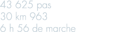 43 625 pas 30 km 963 6 h 56 de marche