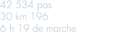 42 534 pas 30 km 196 6 h 19 de marche