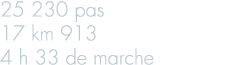 25 230 pas 17 km 913 4 h 33 de marche