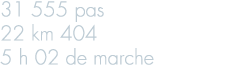 31 555 pas 22 km 404 5 h 02 de marche