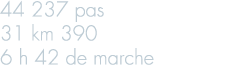 44 237 pas 31 km 390 6 h 42 de marche