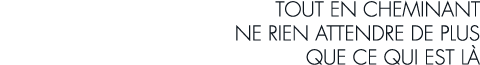 tout en cheminant ne rien attendre de plus que ce qui est l 